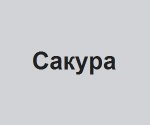 Компания “Сакура”