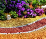 Декоративная древесная щепа: оформление сада цветной мульчей