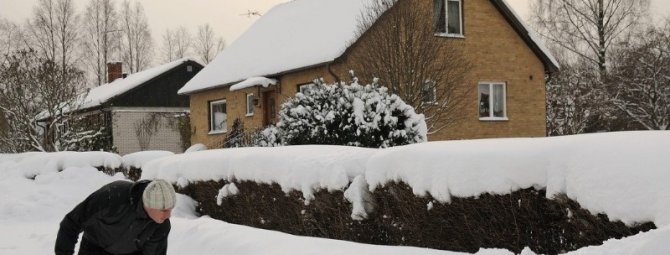 Какие работы нужно сделать в саду в феврале, чтобы успеть подготовиться к новому сезону