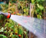 Как выбрать насос для полива огорода в зависимости от источника воды