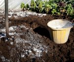 Известкование почвы в саду: зачем, когда и как это необходимо делать?