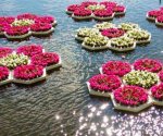 Плавающие клумбы: 4 способа сделать цветочные мини-острова в вашем пруду