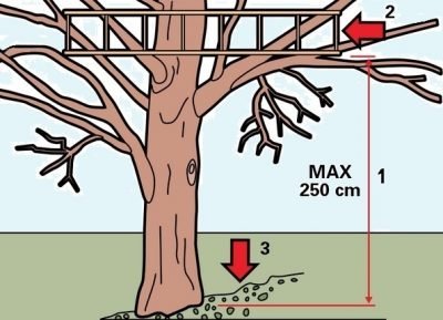 На каком дереве построить домик