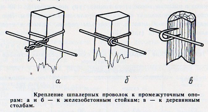 Закрепление проволоки