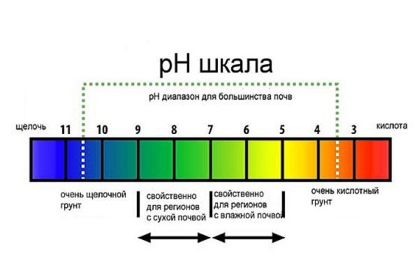 Шкала кислотности почвы