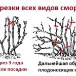 Универсальные схемы формирования