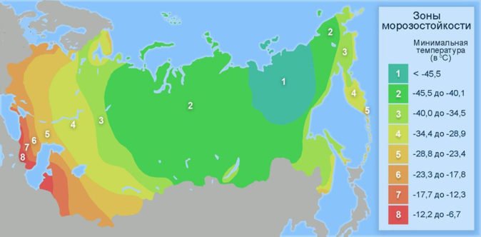 Карта зон морозостойкости