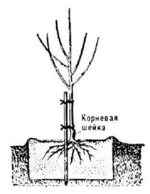 Схема посадки