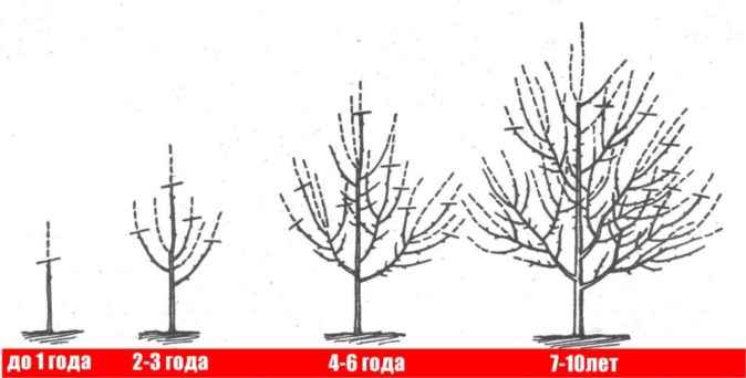 Схема формирования