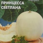 Дыня Принцесса Светлана