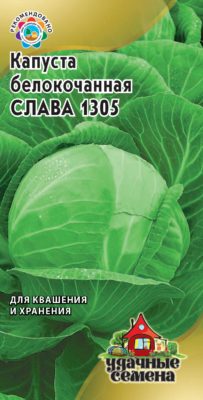 Капуста сорта Слава 1305