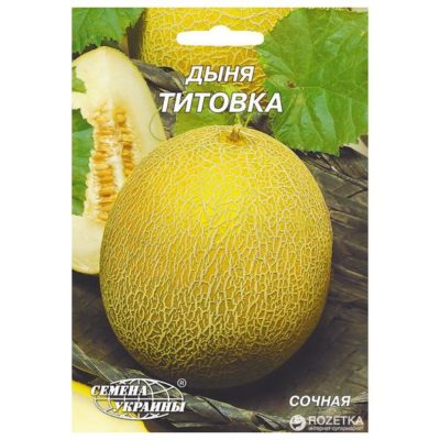 Дыня Титовка