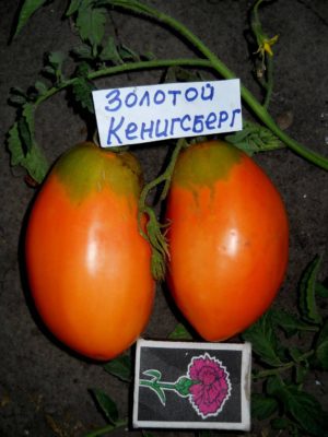 Золотой Кенигсберг